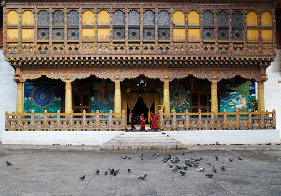The pigeons have it nice inside the Dzongs