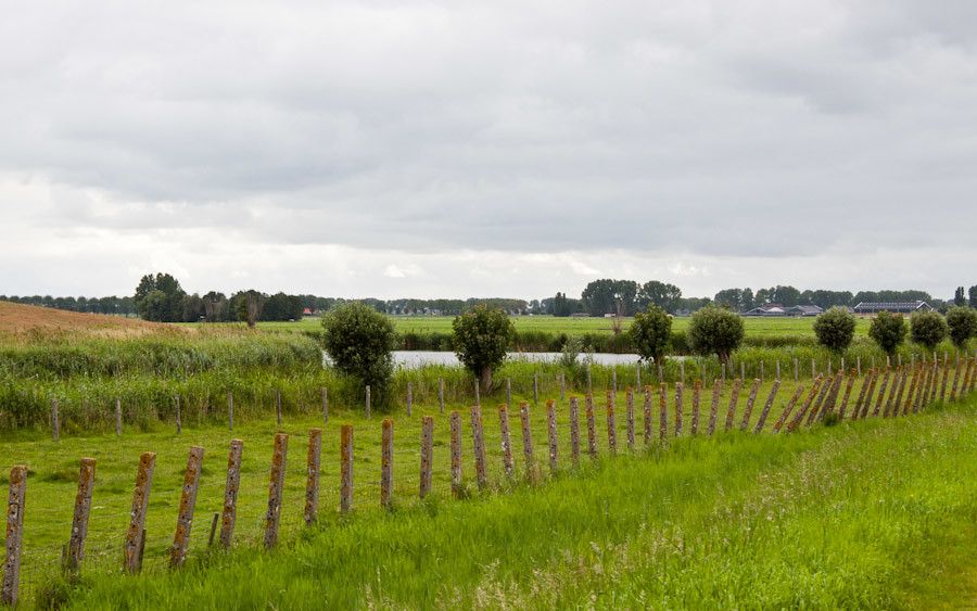 Somewhere near a camping/mooring site in Edam