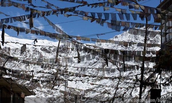 Walking in the Leh market