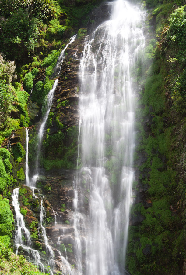 A random waterfall by the roadside